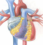 Quia - Class Page - Human Biology - Chapter 5