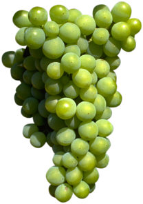 grapes
