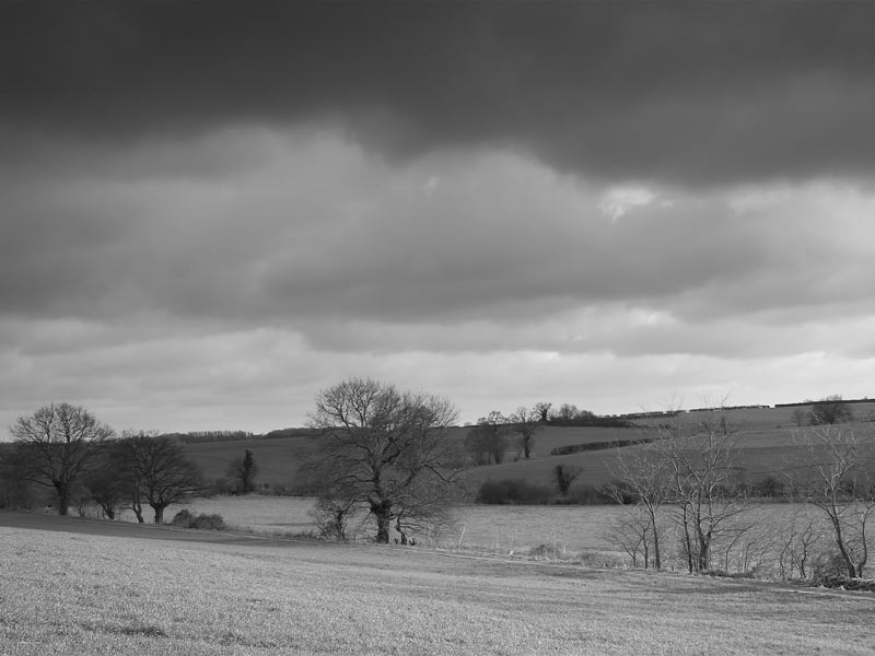 Quia Match the State to its Stressed Vowel Color