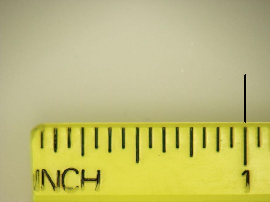 Ruler Showing 1/4 Inch