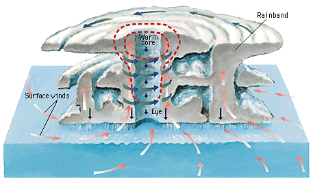 Quia - Weather Patterns Part 2