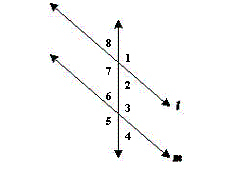 mc005-1.jpg