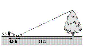 mc003-1.jpg