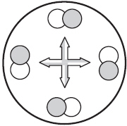 mc017-3.jpg