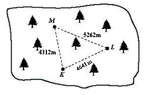 mc019-2.jpg