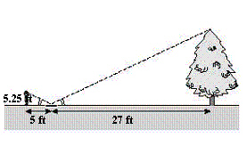 mc005-1.jpg