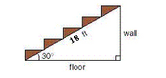 mc006-1.jpg
