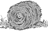 mc005-2.jpg