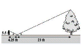 mc003-1.jpg
