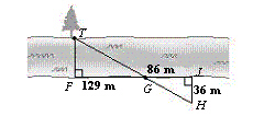 mc023-1.jpg