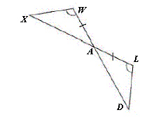 mc031-2.jpg