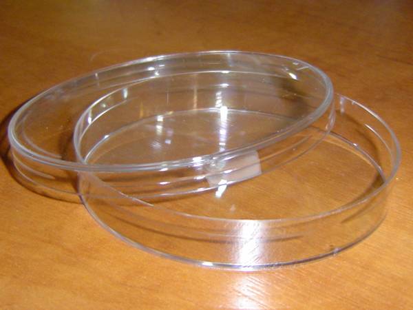 Quia Bio Lab Equipment Copy