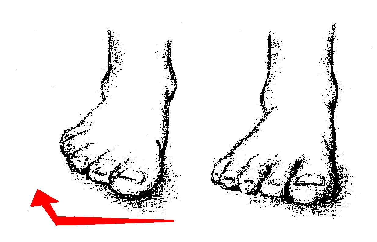 Quia - Motions of the foot