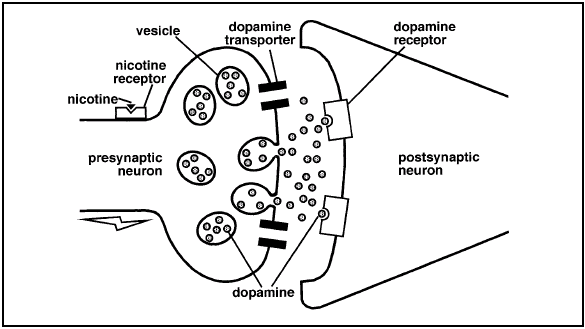 Drugs Change the Way