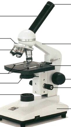 Quia Science Tools