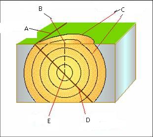 Quia - Eq,GeoHistory, GeoTime &Fossils, Geology of VA