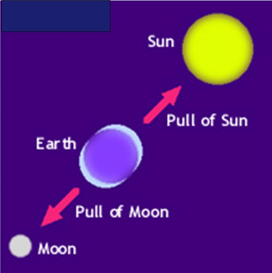 quia-tides-eclipses-phases-matching-or-flash-card-games