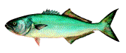 image008.gif - 4250 Bytes