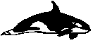 image010.gif - 466 Bytes