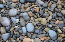 Quia - Living or Nonliving