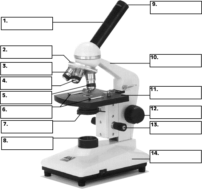 Quia Section 7 1 Life Is Cellular
