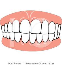 Quia - Les parties du corps