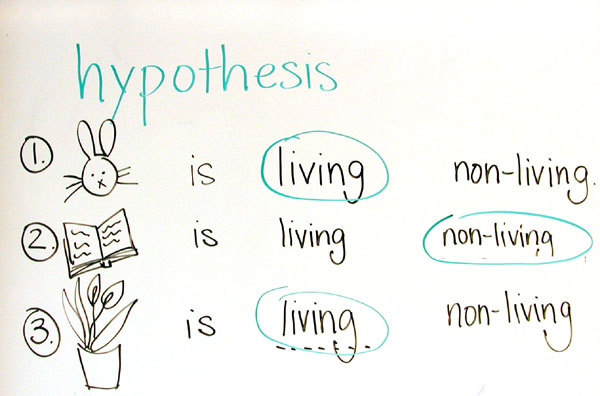 7 steps of the scientific method image