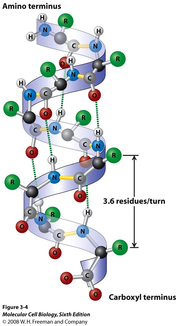 Quia Chapter 8 Biochemistry
