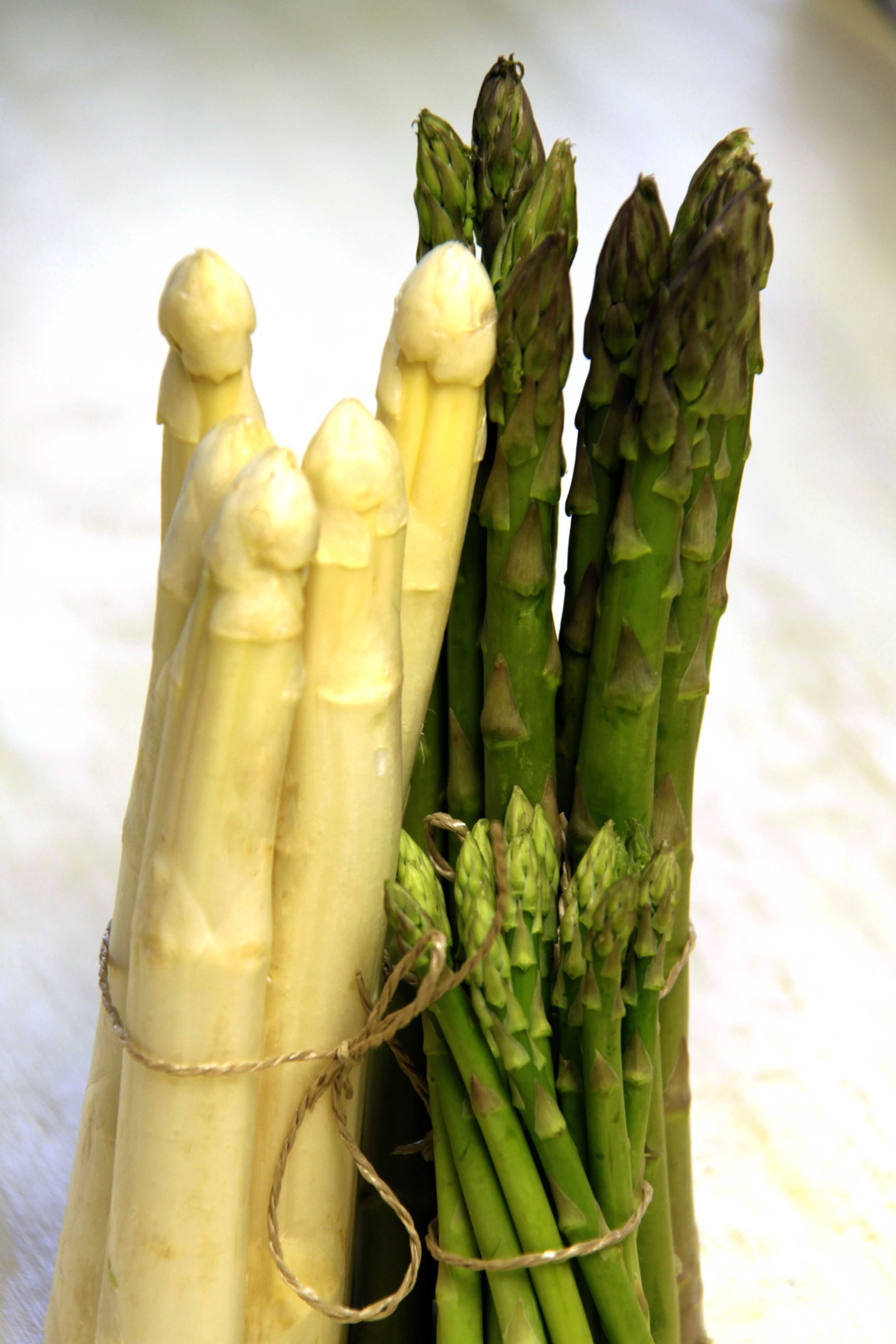 Т0011 Травушка-муравушка