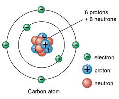 What did niels bohr contribute to the atomic theory