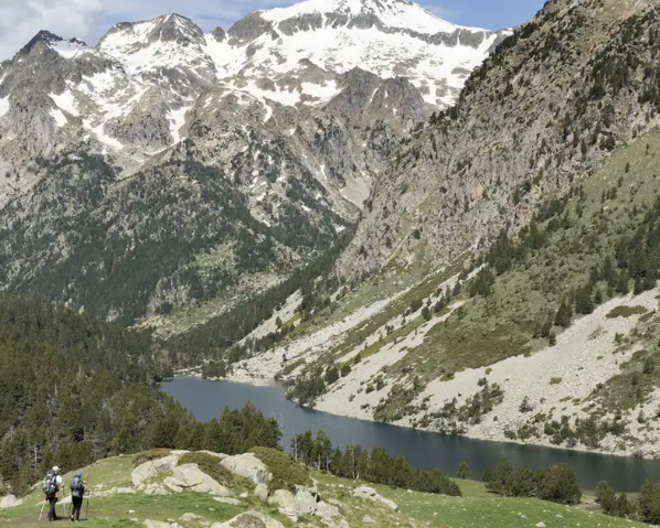 Pyrenees