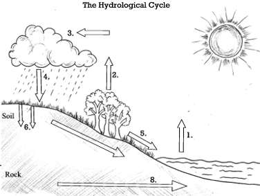 Quia - ADV WATER CYCLE VOCABULARY FLASHCARDS