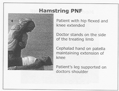 Quia - Schaeffer PNF Stretches
